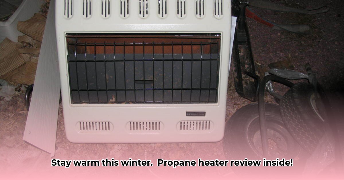 propane-wall-heaters-at-tractor-supply